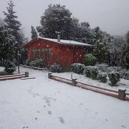 Puelche De Antuco Villa Kültér fotó